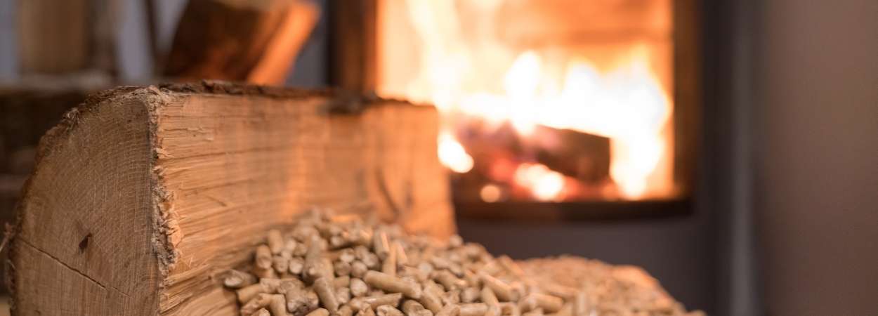 portalegna caminetto camino